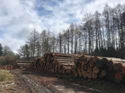 image SARL Largeau : largeau_201901091542SZKT.jpg